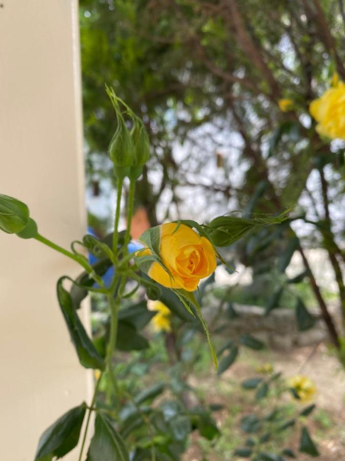 Katsaros  Villa Valmas מראה חיצוני תמונה